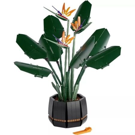 LionKing 10298 - Bird of Paradise