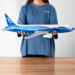 DK 80009 - Boeing 787