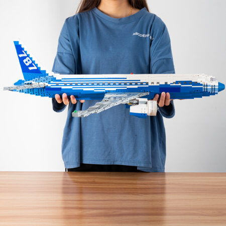 DK 80009 - Boeing 787